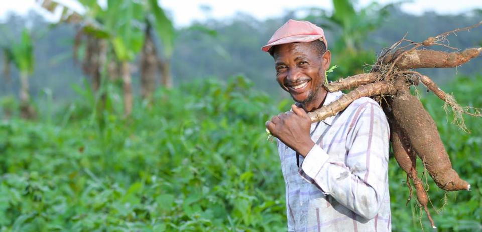 sustainability nature regenerative agriculture farmer wide